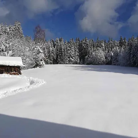 Ferienwohnung Weiß